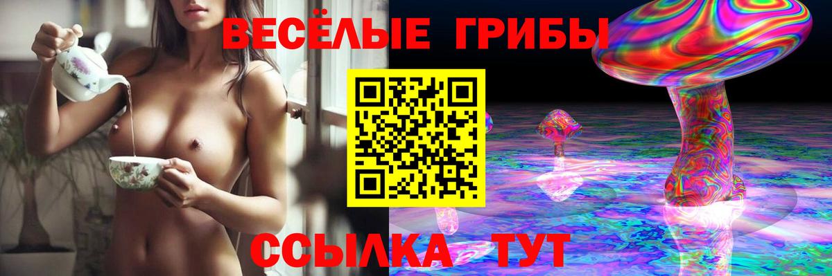Псилоцибиновые грибы ЛСД  Вход с VPN  Сертолово 